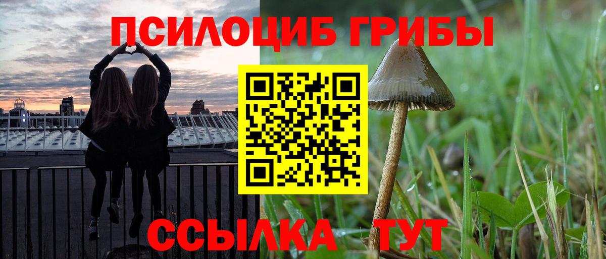 магазин    Вход с VPN  Дзержинск  Галлюциногенные грибы Magic Shrooms 