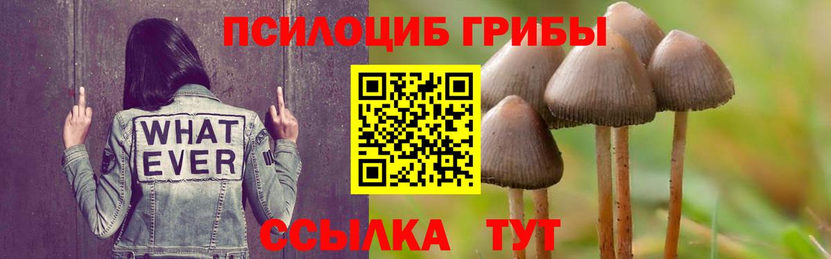 Псилоцибиновые грибы MAGIC MUSHROOMS Дзержинск